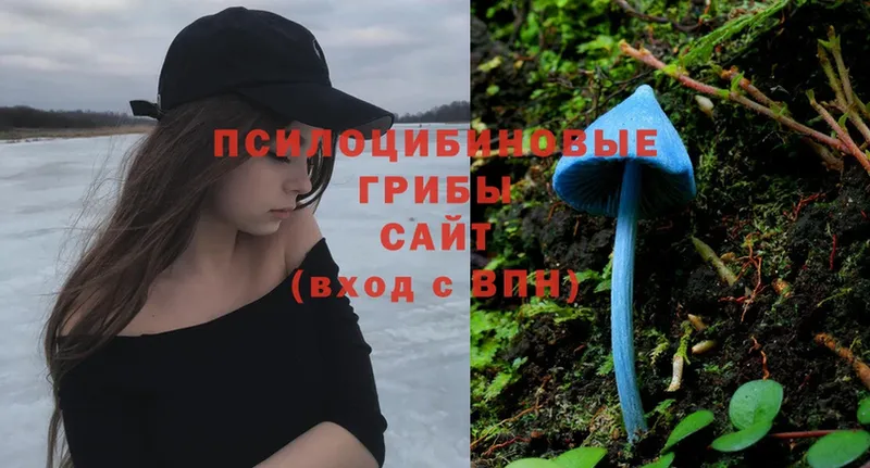 blacksprut   это официальный сайт  Галлюциногенные грибы Psilocybine cubensis  Нытва 